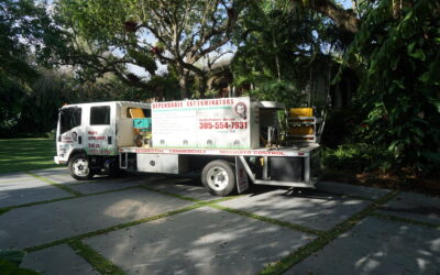 Gables Estates: Elevate with Luxury Lawn Care